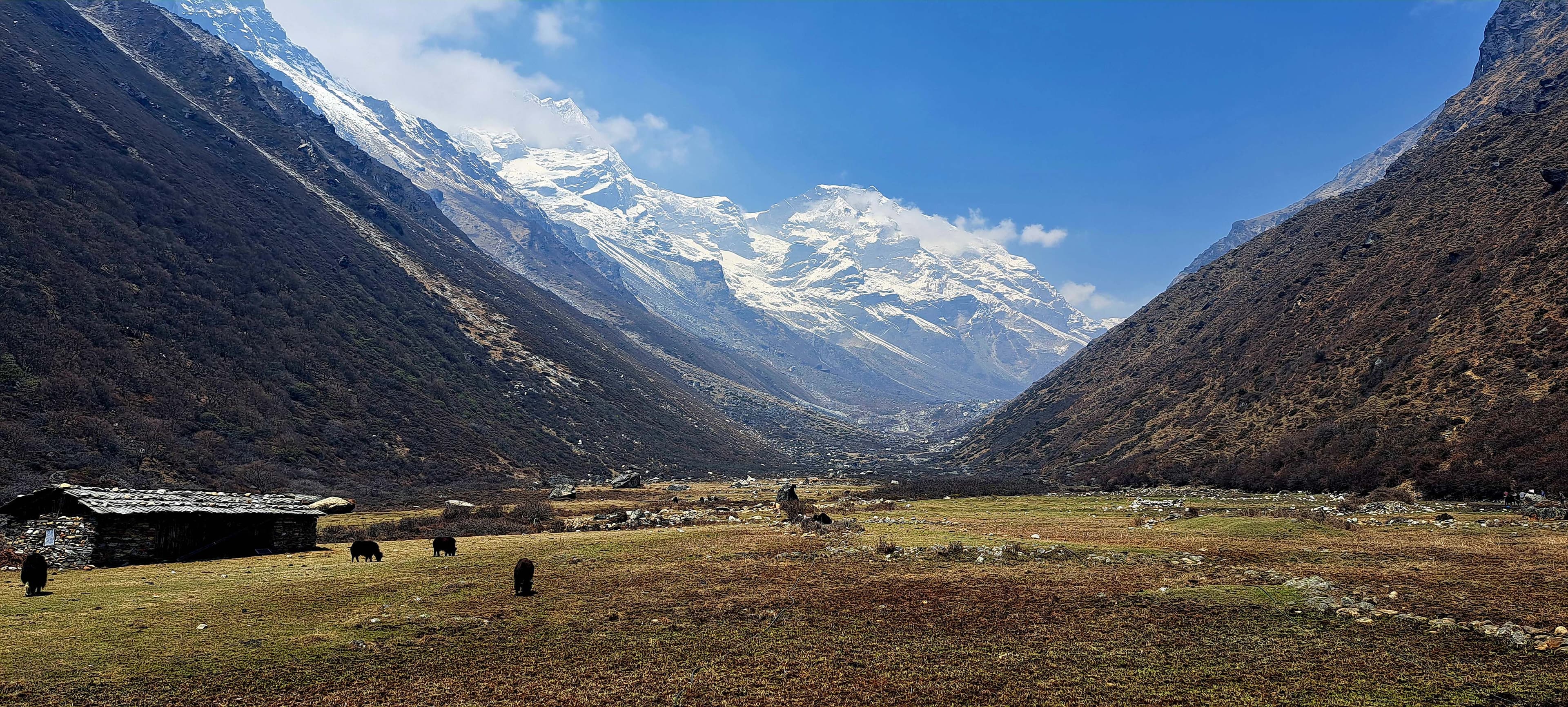 Kanchenjunga Region, exploring remote trekking paths, stunning view of himalayas in Khambachen