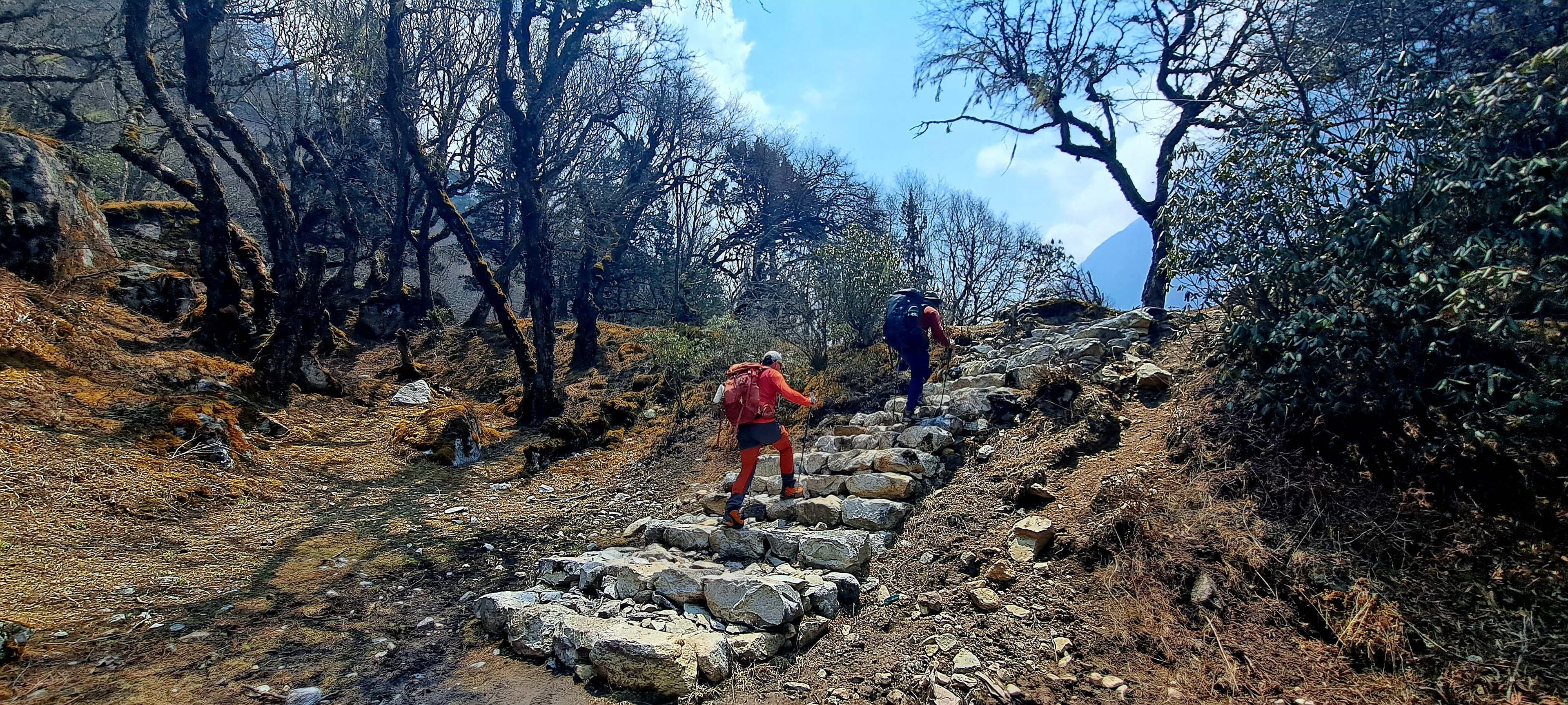 Discover the wilderness of Kanchenjunga Region on a Trek 8586 expedition