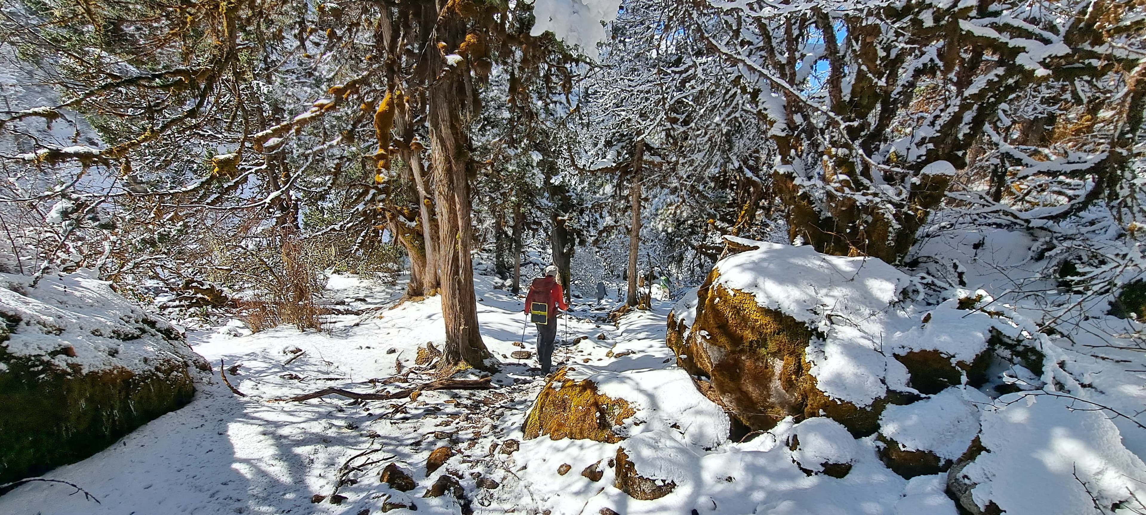 Trek 8586 in the Everest Region, trekking towards the famous Everest Base Camp