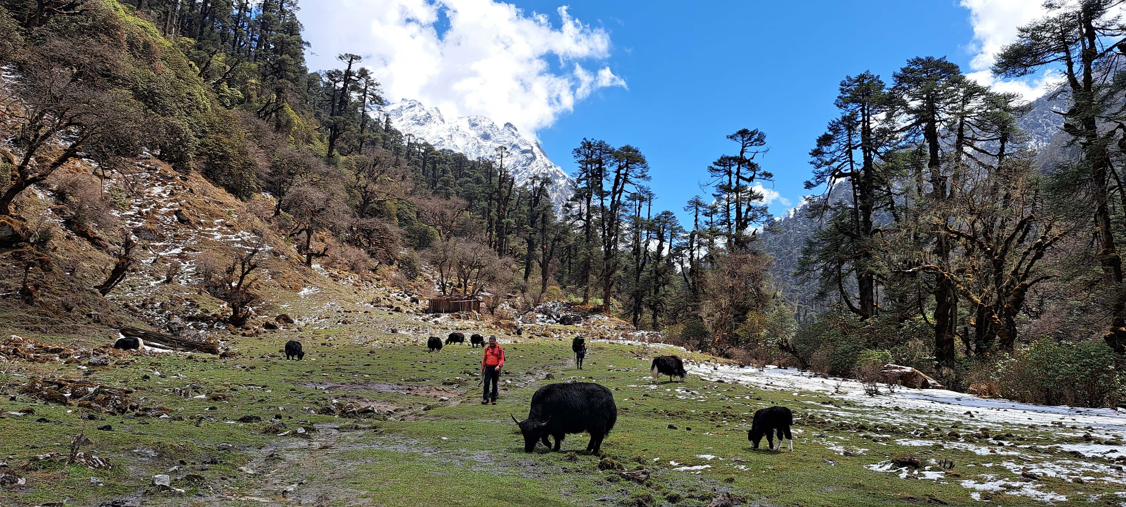 Everest Region Trekking adventure, part of the Everest Base Camp Trek on Trek 8586