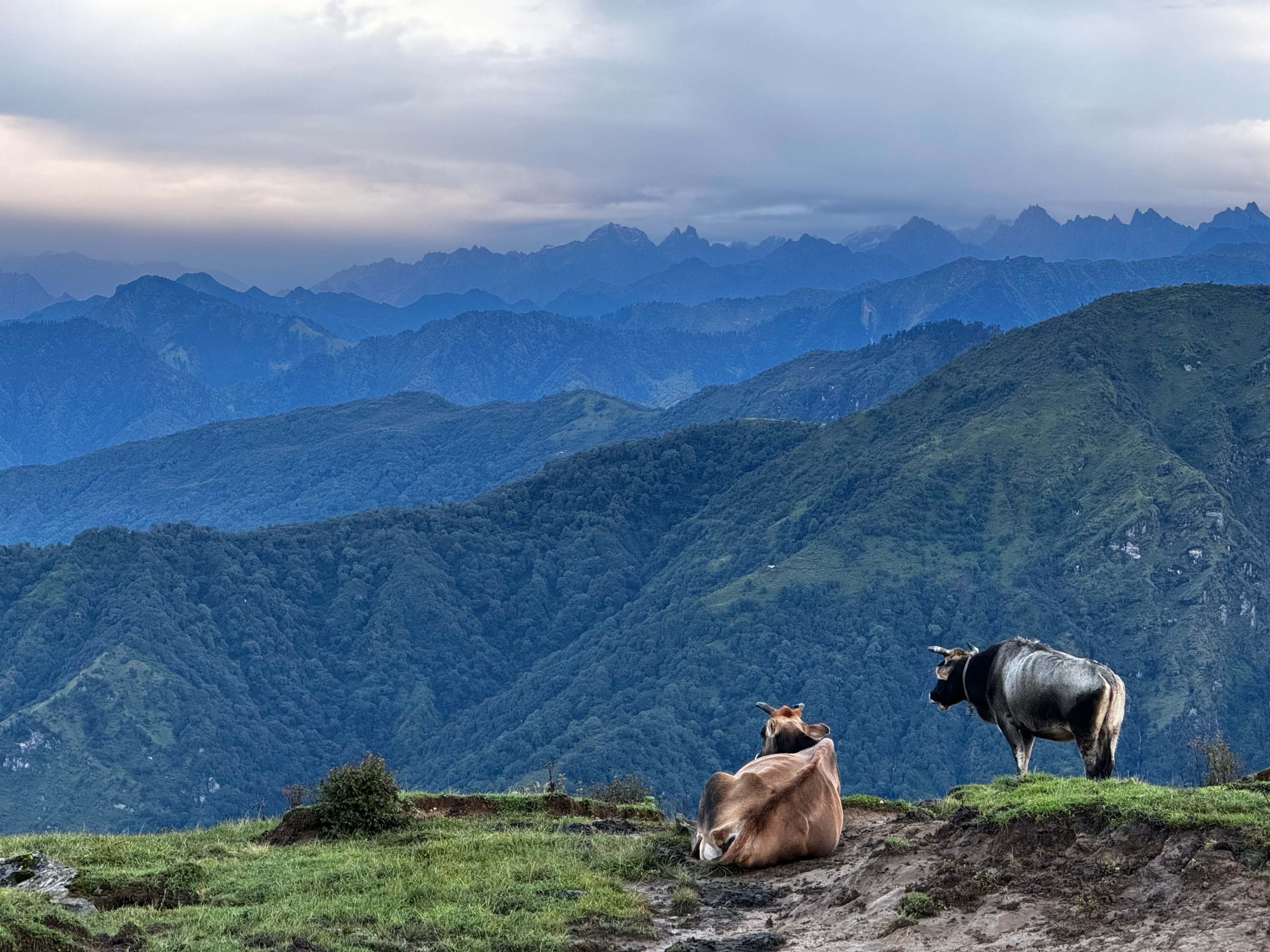 Exploring the beauty of Timbung Pokhari with Trek 8586 in the Kanchenjunga Region