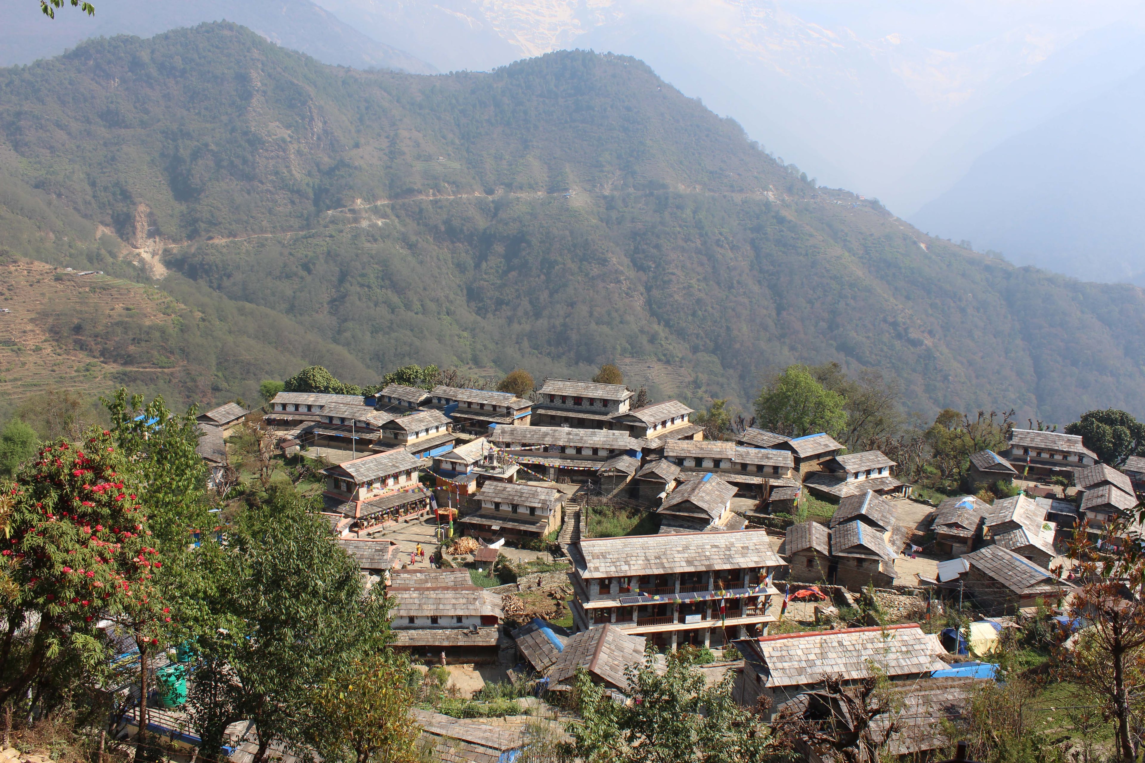 Aerial View of Old Ghandruk Gurung Village, captured by Trek 8586 during Annapurna Trek